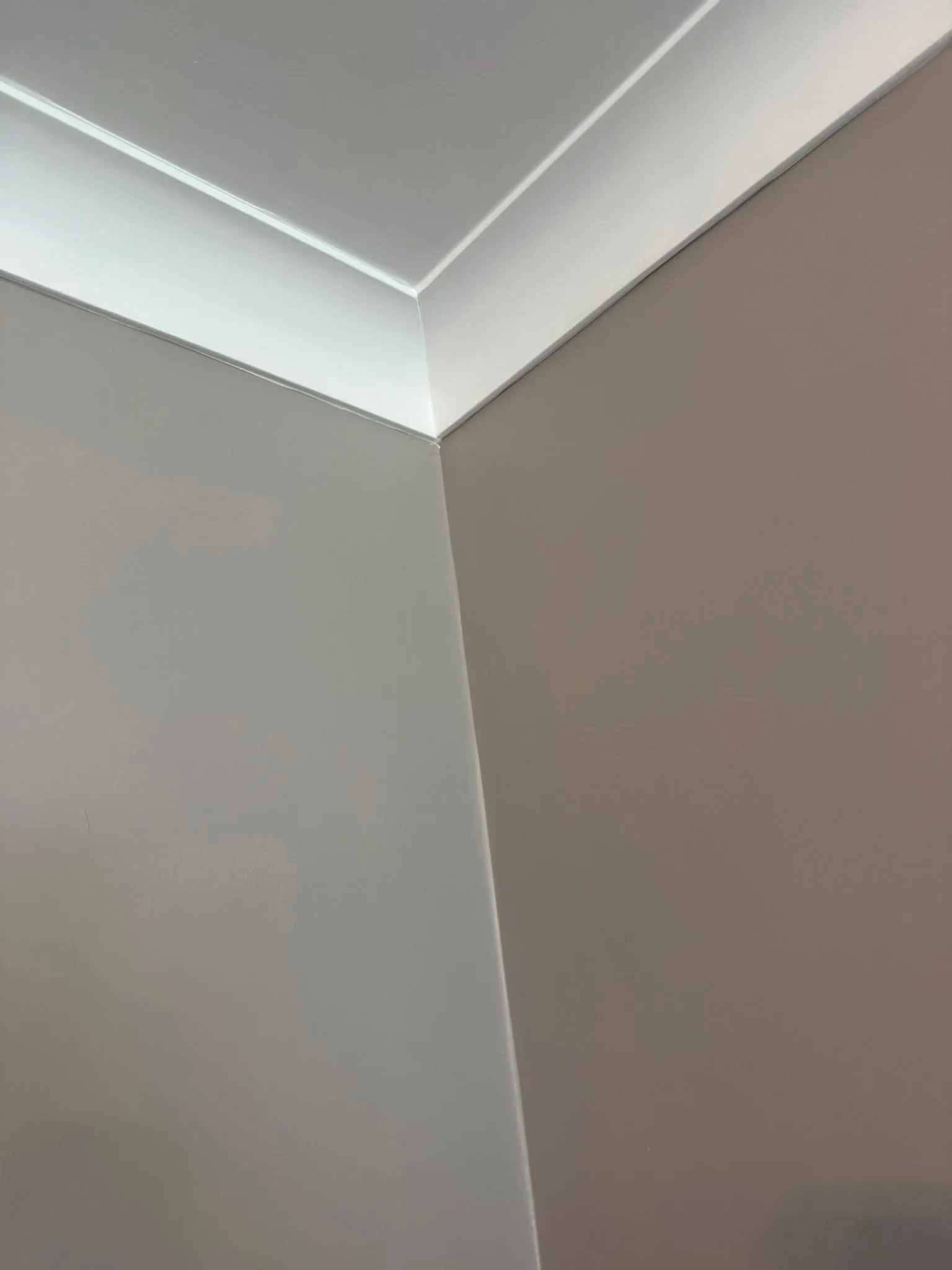 Close-up of neatly painted coving meeting a freshly painted wall in the corner of a room